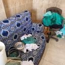 إغلاق 12 منشأة طبية غير مرخصة وضبط شخص ينتحل صفة طبيب -جريدة مصر العربية 