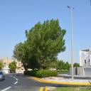 بلدية القطيف تنتهي من أعمال تأهيل وتطوير شارع التوفيق - مصر اليوم العربية