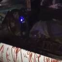  مباحث الحسينية تتمكن من فك رموز قضية القتل الكبرى لتاجر أغنام بسيارته _ مصر اليوم العربية