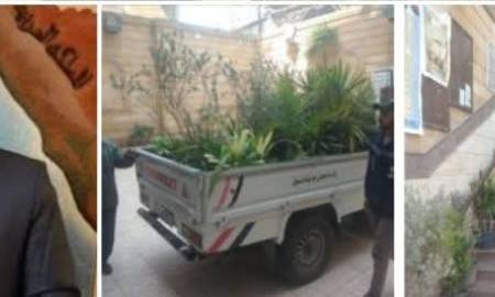 دسوق في عيون المسئولين ومبادرة لتزيين كنيسة دسوق بمناسبة الاحتفال بعيد القيامة المجيد - مصر اليوم العربية 